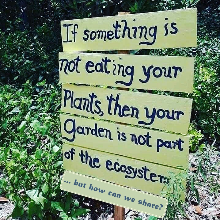 if-something-is-not-eating-your-plants-then-your-garden-is-not-part-of